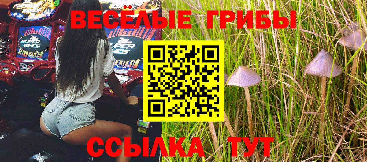 Псилоцибиновые грибы GOLDEN TEACHER  Псилоцибиновые грибы Magic Shrooms  Мыски  Вход с VPN 